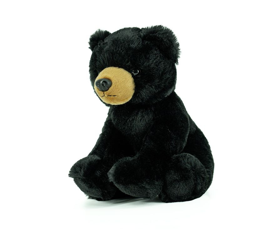 Black bear (GDL23010-1)