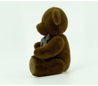 Teddy bear (HK21)