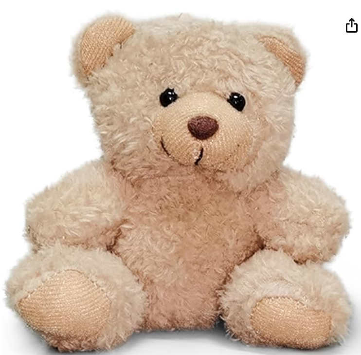 Teddy Bear Stuffed Animal Toy