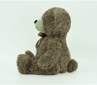 Teddy bear (GDX23059-1A)